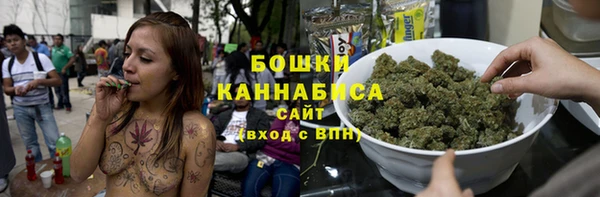дурь Пересвет