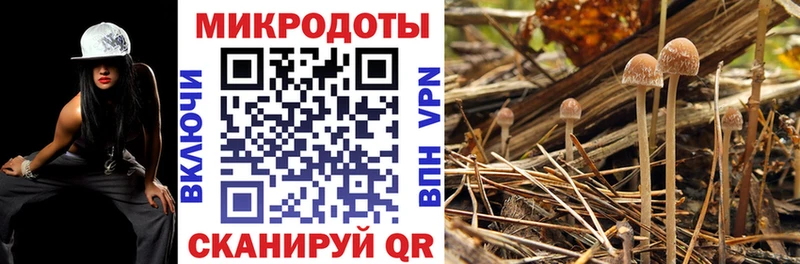 Псилоцибиновые грибы мухоморы  Бабаево 