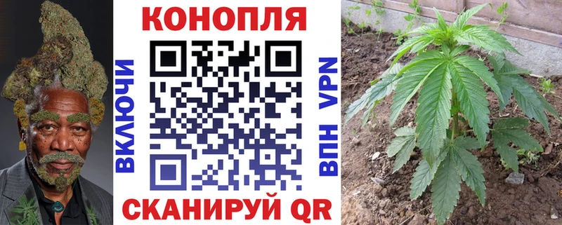 где купить наркоту  гидра tor  Бошки марихуана марихуана  Бабаево 